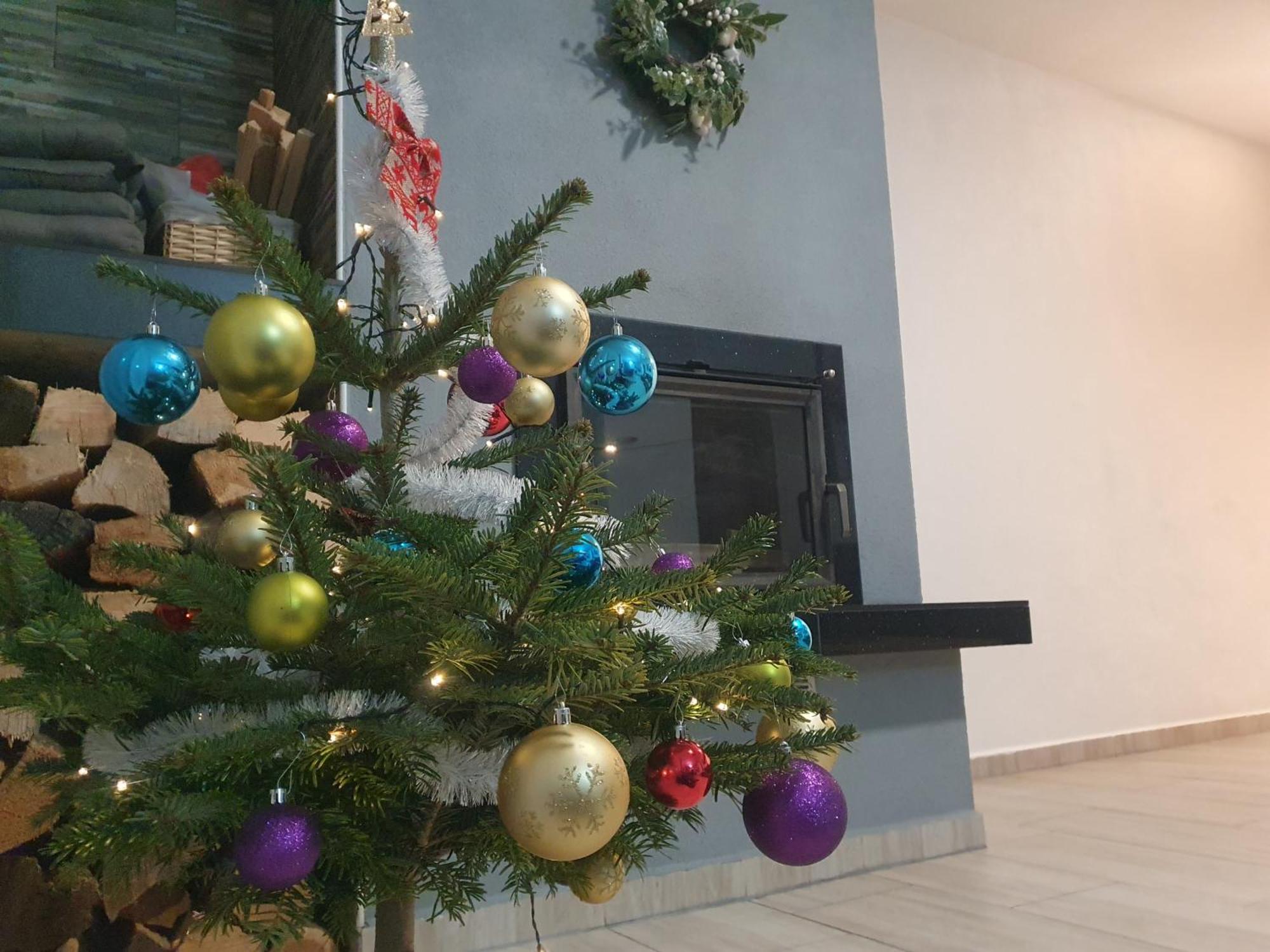 Apartmany Lipnoczech فريمبورك المظهر الخارجي الصورة
